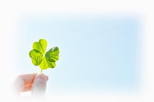 有限会社三浦グリーンガーデンの格安エクステリア